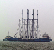 鲅鱼圈仙人岛回填临时围堰工程